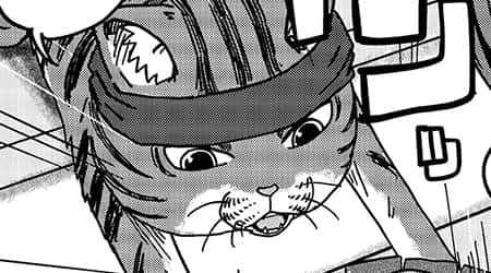 Second Serving: The Athletic Black Cat