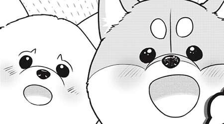 Chapter 61